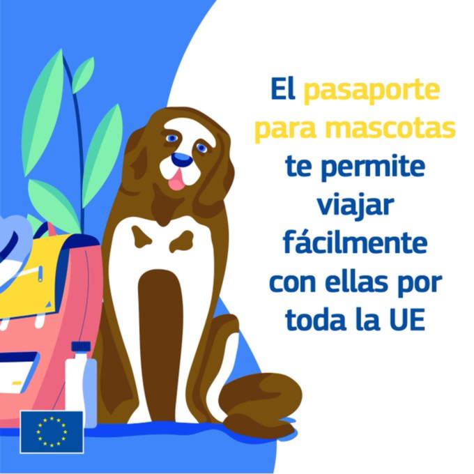 EDHuelva's tweet image. Viajar por Europa es más fácil si sabes esto:
🚗 Tu carnet de conducir es válido 🇪🇺
🩺 La Tarjeta Sanitaria Europea te cubre
📱 Disfruta de tus series en toda la UE
🐾 Tu mascota viaja contigo con pasaporte
#ViajarPorLaUE #TipsDeViaje #TSE #Roaming #Mascotas @DipuHU @RIEA_and
