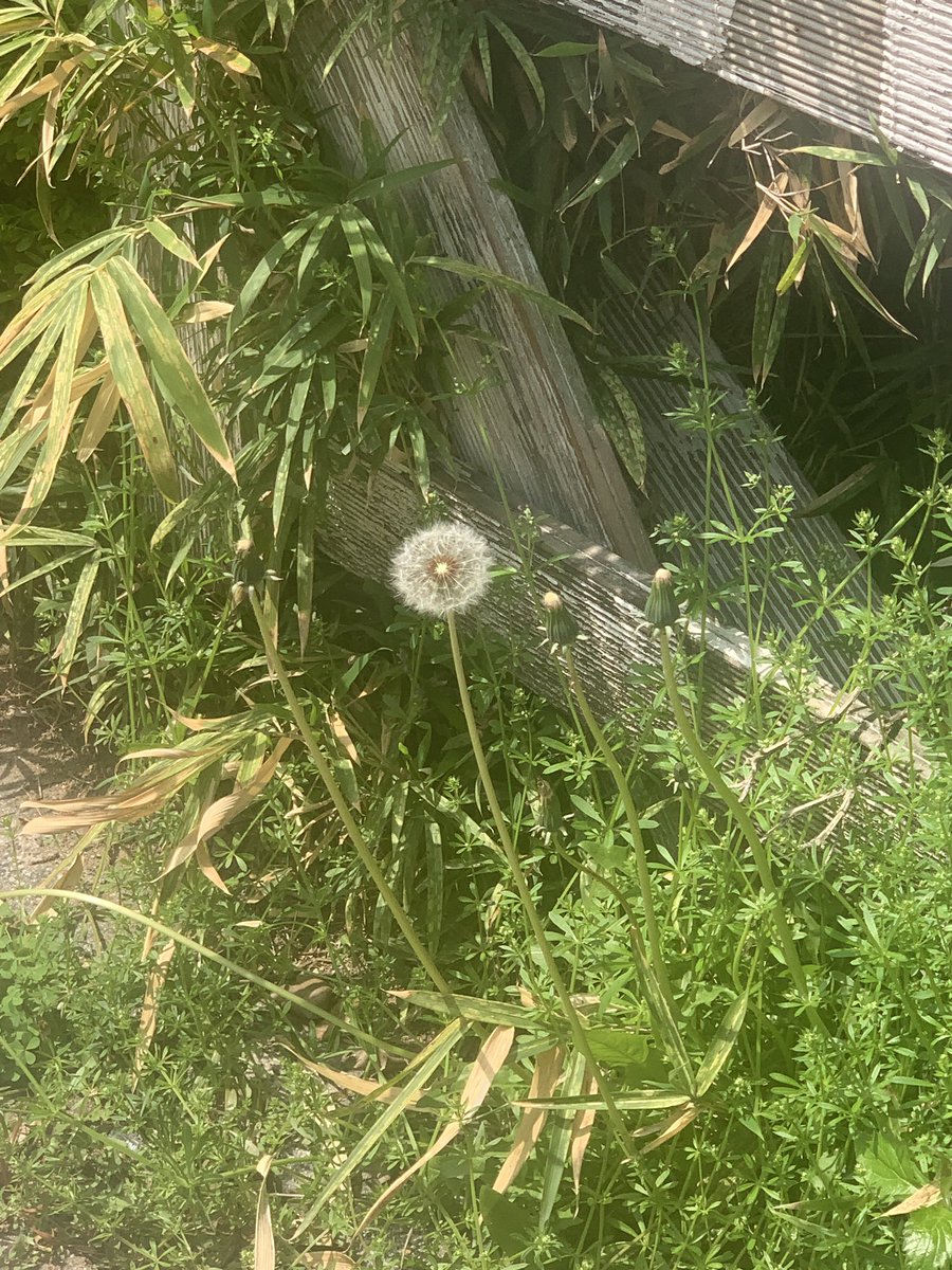 ㄴㅎㄴ (@iam_underground) on Twitter photo 