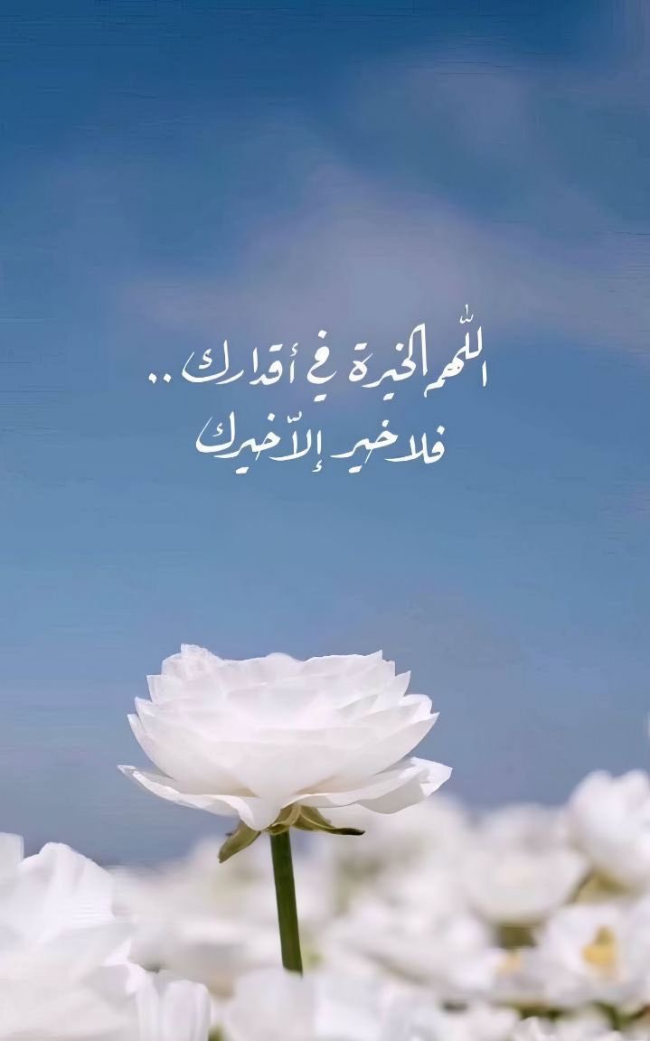 ﴿وَكَانَ فَضْلُ اللَّهِ عَلَيْكَ عَظِيمًا﴾

"ماوُفِّقت لخير إلا بفضل الله، مايُسِّرت لنفع إلا بفضل الله، ماهُديتَ لحسنة إلا بتوفيق من الله، أدقّ أمورك التي تظنّها من إنجازك هي من فضل الله العظيم عليك"