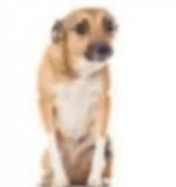 Oye me hago pis y no me abren la oficina