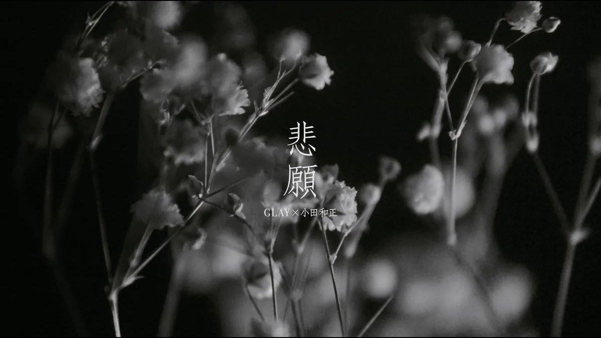 glay_official's tweet image. ◤ YouTube 更新◢

#GLAY メンバー悲願、
「#小田和正 さんと夢の共演」がついに実現！
長年願い続けた、奇跡の瞬間を
MVで体感してください✨🎬
あなたの目と耳で確かめてください。
🎥youtu.be/0w_y5GHJ1WU

DRIVE 1993～2009 -GLAY complete BEST
DRIVE 2010～2026 -GLAY complete BEST
Now on…