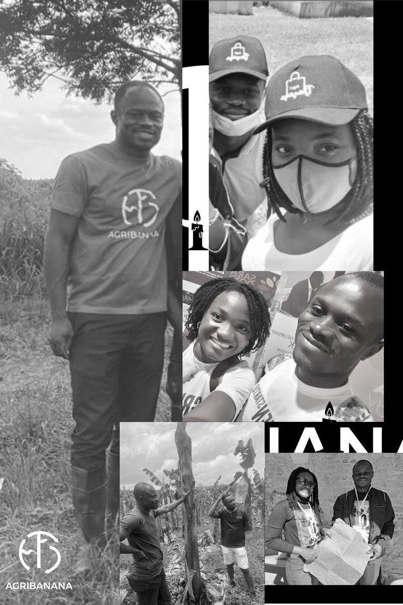 AGRIBANANA Bio tweet media