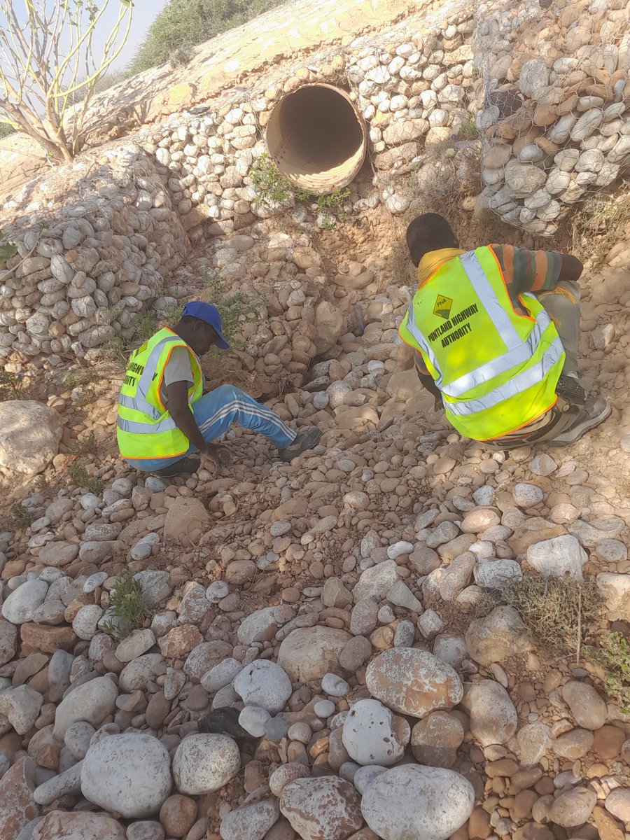 cmxayir's tweet photo. The Puntland Highway Authority (PHA) is clearing culverts along the Carmo–Bosaso highway to prevent flood damage. On Day 1, 15 culverts were cleaned over a 17 KM stretch. Debris, rocks, and plants were removed to ensure safe water flow.
#PHA #Puntland #Infrastructure #RoadSafety https://t.co/7W9BqzynDC