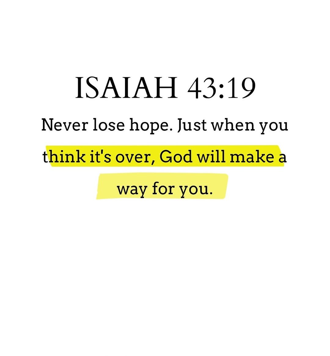 Holy Bible tweet media