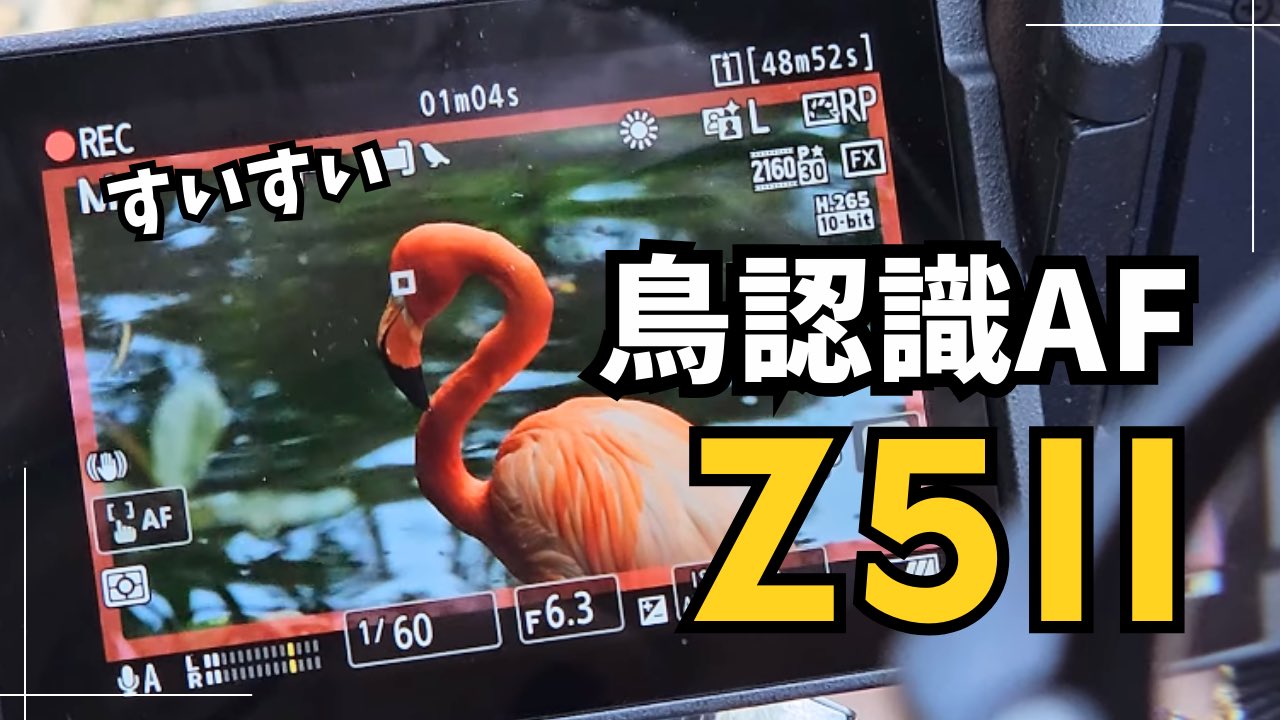 月刊カメラマン誌連動企画、大浦タケシの「官能カメラ､奥の横道