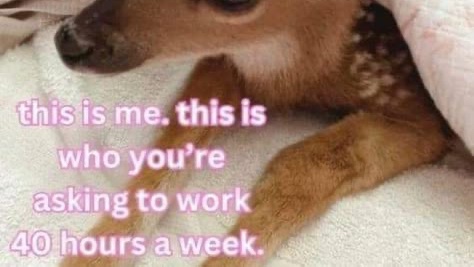 milkstrology's tweet photo. 🌿 capricorn risings: new moon in taurus 4/27 moodboard horoscope 🌿

Do your romantic and platonic relationships feel like bargaining chips that you have to wager pieces of yourself away for, to maintain? https://t.co/VpocU1nCJJ