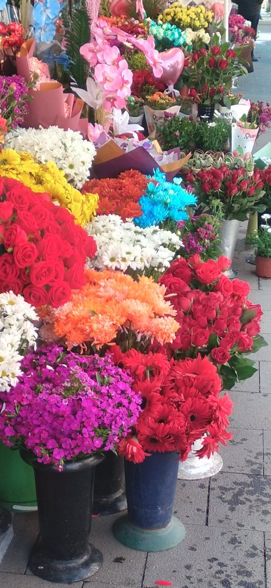 Şeyma (@sheymaozturk) on Twitter photo 