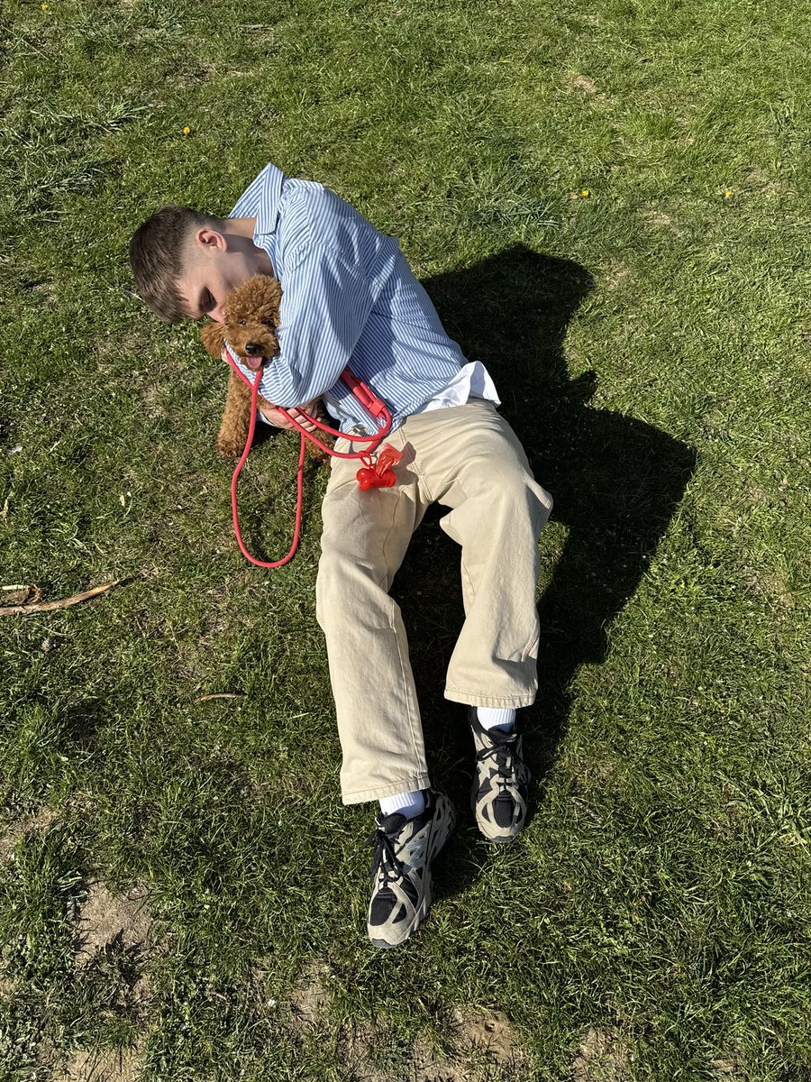 iambilenko's tweet image. Після вівчарки,це маленький карамельний вупі пай🥹🥰