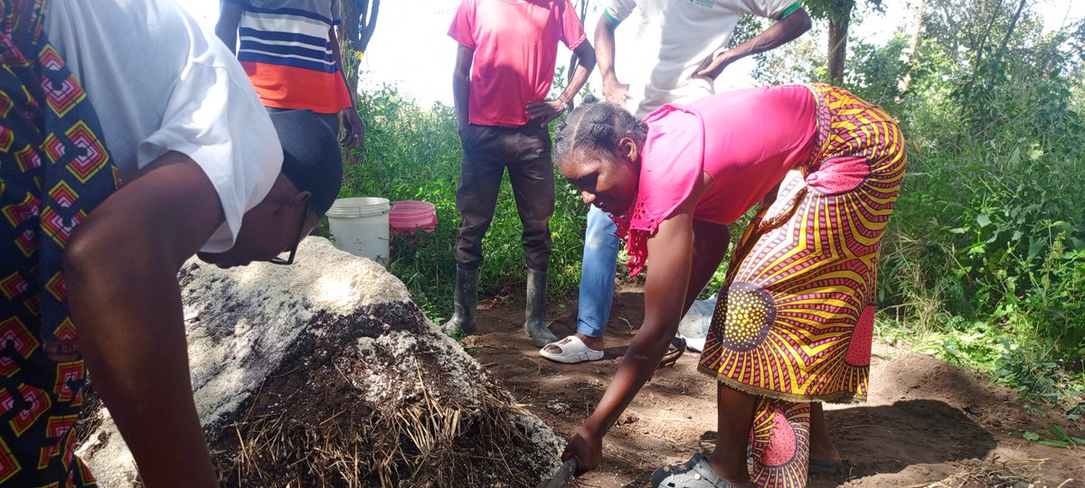 RKachungu's tweet photo. Agroecology is the game changer for the food system.
NO-AGROCHEM Project by @YEFI_OFFICIAL 

@ClimateWorks https://t.co/zWxiLzm8VH