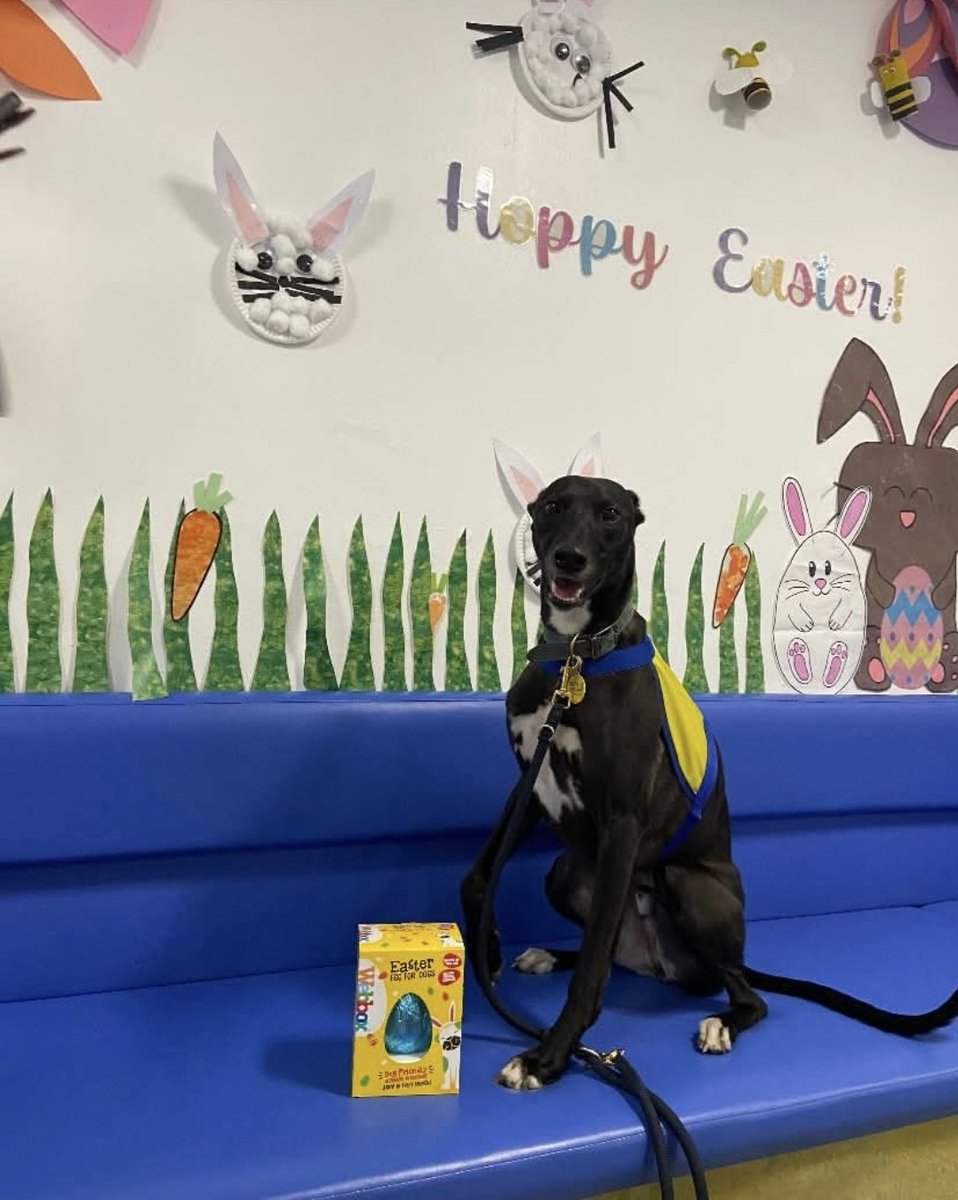 WWLRainbowWard (@rainbowwardwwl) on Twitter photo Jaxon <a href="/PetsAsTherapyUK/">Pets As Therapy</a> visited the ward over the weekend. Here he is, looking very proud with his egg.
We love the effect having animals has on the children and young people on #RainbowWard Jaxon <a href="/PetsAsTherapyUK/">Pets As Therapy</a> visited the ward over the weekend. Here he is, looking very proud with his egg.
We love the effect having animals has on the children and young people on #RainbowWard