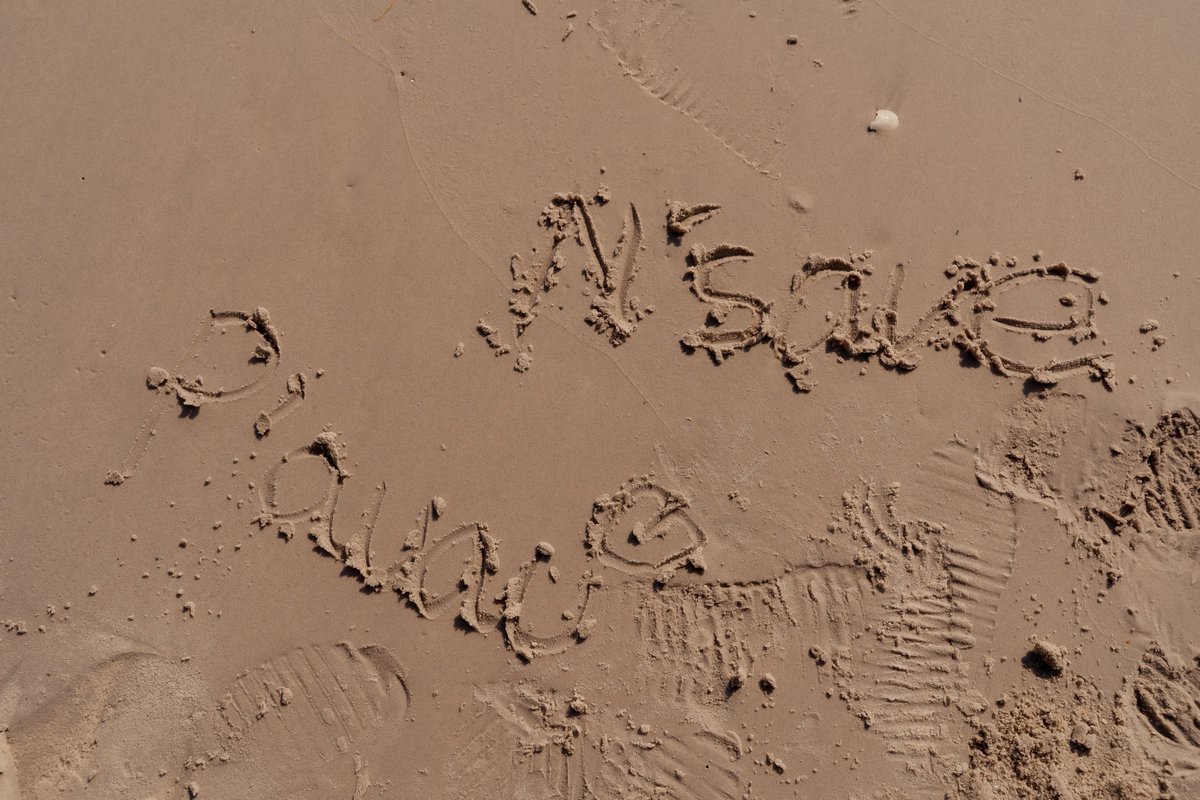 SansiriPLC's tweet image. อวดผลงานบนผืนทราย ก็น้องเซฟพี่อู๋อะเนอะ 🫣 ถ้าเขียนทรายบอกความรู้สึกถึง #อู่อู๋เซฟ ได้ ทุกคนอยากเขียนว่าอะไรกันคะ 🏖️​

#SansirixAuauSave #แสนสิริถิ่นพี่หนูชอบ #LookAround #Auautnp #savewrg #AuauSave #Sansiri #domunditv