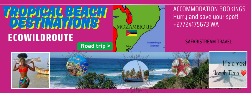 EBSMoz's tweet photo. Vacation and corporate accommodation bookings. More options All the Time since 2016 #Mozambique
📷📷 📷📷📷📷📷2025 Family Fun Awaits
WhatsApp +27724175673 for rates and bookings.
B2B enquiries welcome
#SafariStream Travel https://t.co/PGwFLOTbje