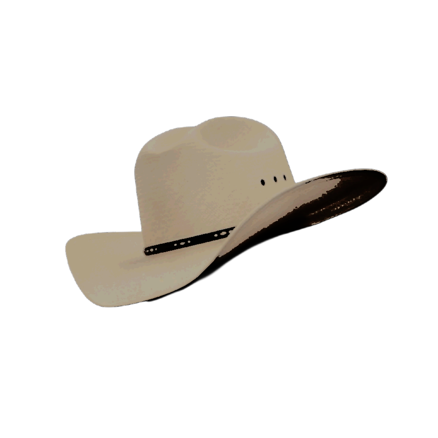 𝓣𝒉𝒆 𝓦𝒓𝒂𝒏𝒈𝒍𝒆𝒓 . tweet media