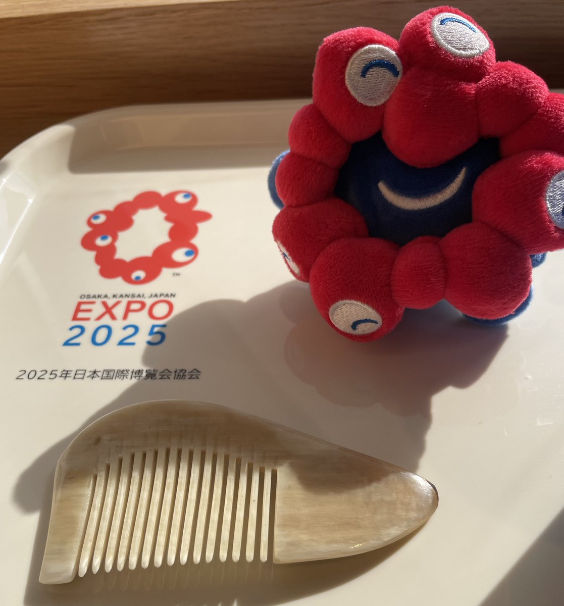 万博コモンズDで何気なく一目惚れで買ったこの櫛。どこの国で買ったか