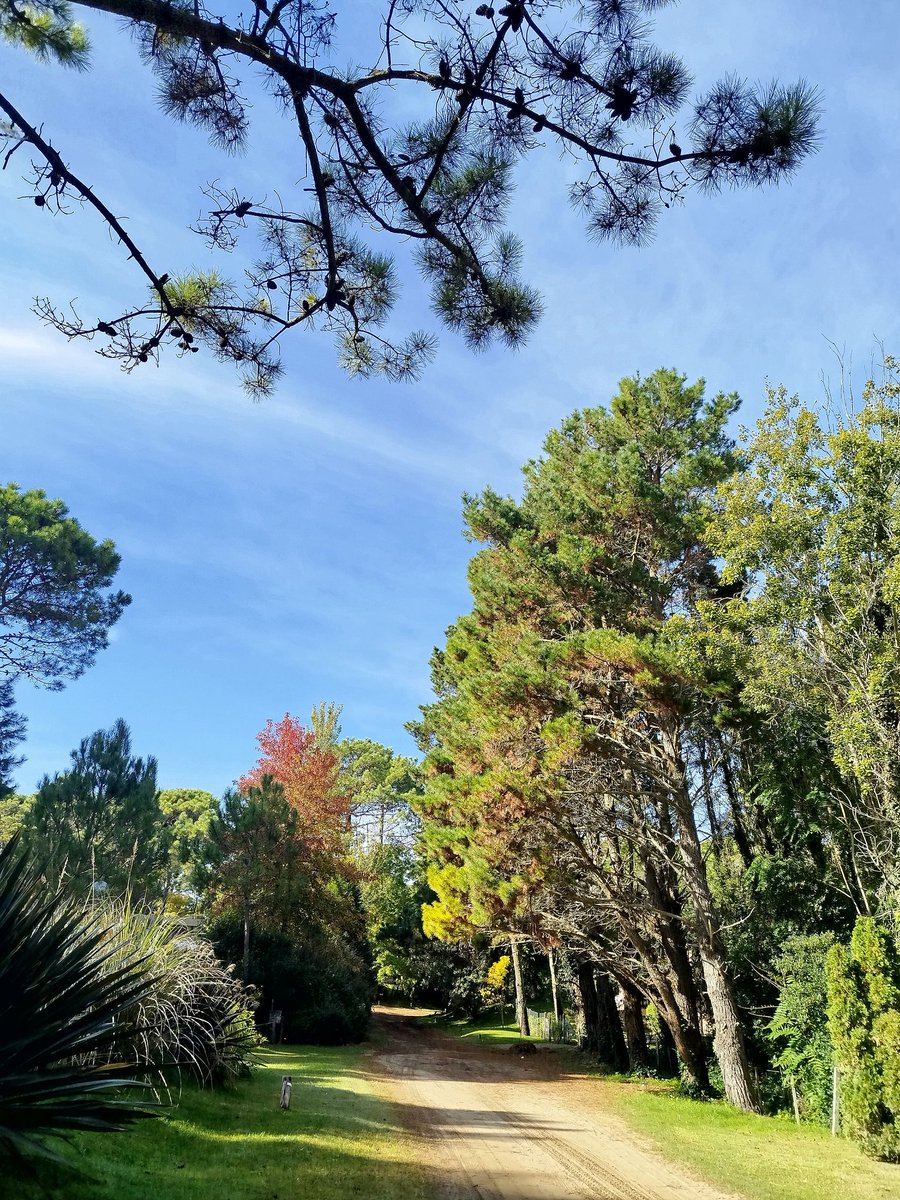 Buenos días gente linda