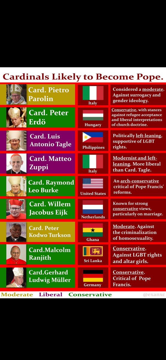Who in the world thinks that 'Cardinal' Burke is likely to succeed Francis? That's silly.