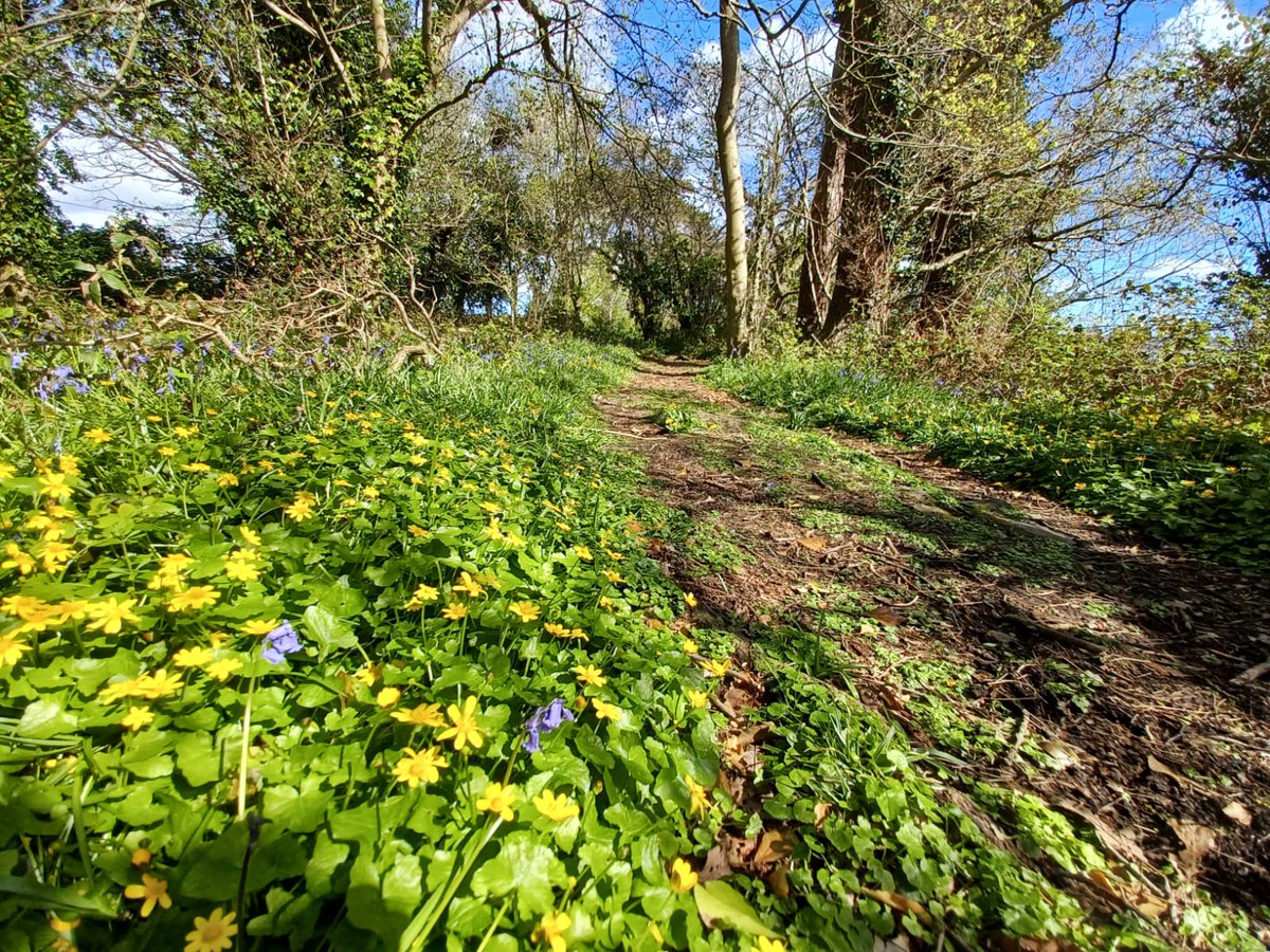 NT Strangford Lough tweet media