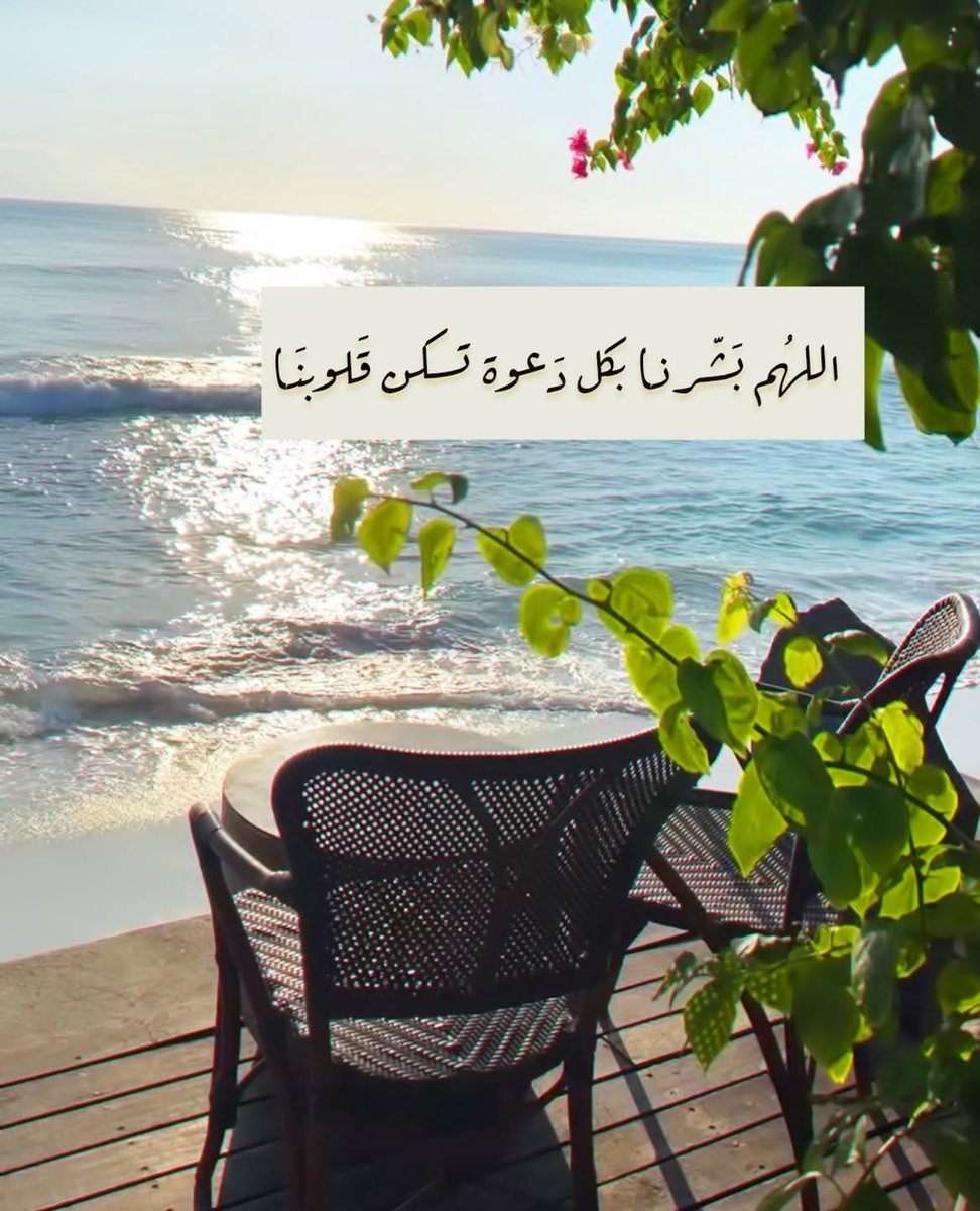 الهادئ | Hadi tweet media