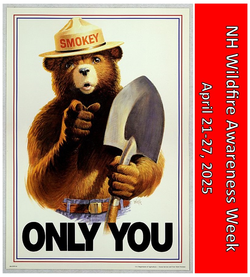 NHDNCR's tweet photo. PRESS RELEASE:

72 percent of NH currently experiencing abnormally dry conditions as state enters Wildfire Awareness Week

https://t.co/s7K9tpG8d6

#NH #NewHampshire #wildfire #WildfireAwareness #ForestFire #OnlyYou #SmokeyBear @smokey_bear @KellyAyotte @nhdfl @NHForestRangers https://t.co/JbBrz9KazR