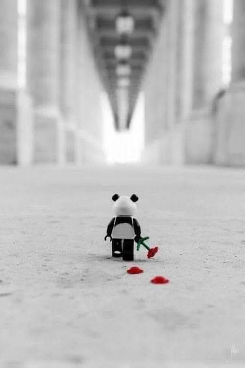 الطيب عمره ما كان غبي
 الغبي هو من لا يعرف قيمة الطيب.
#حقيقة