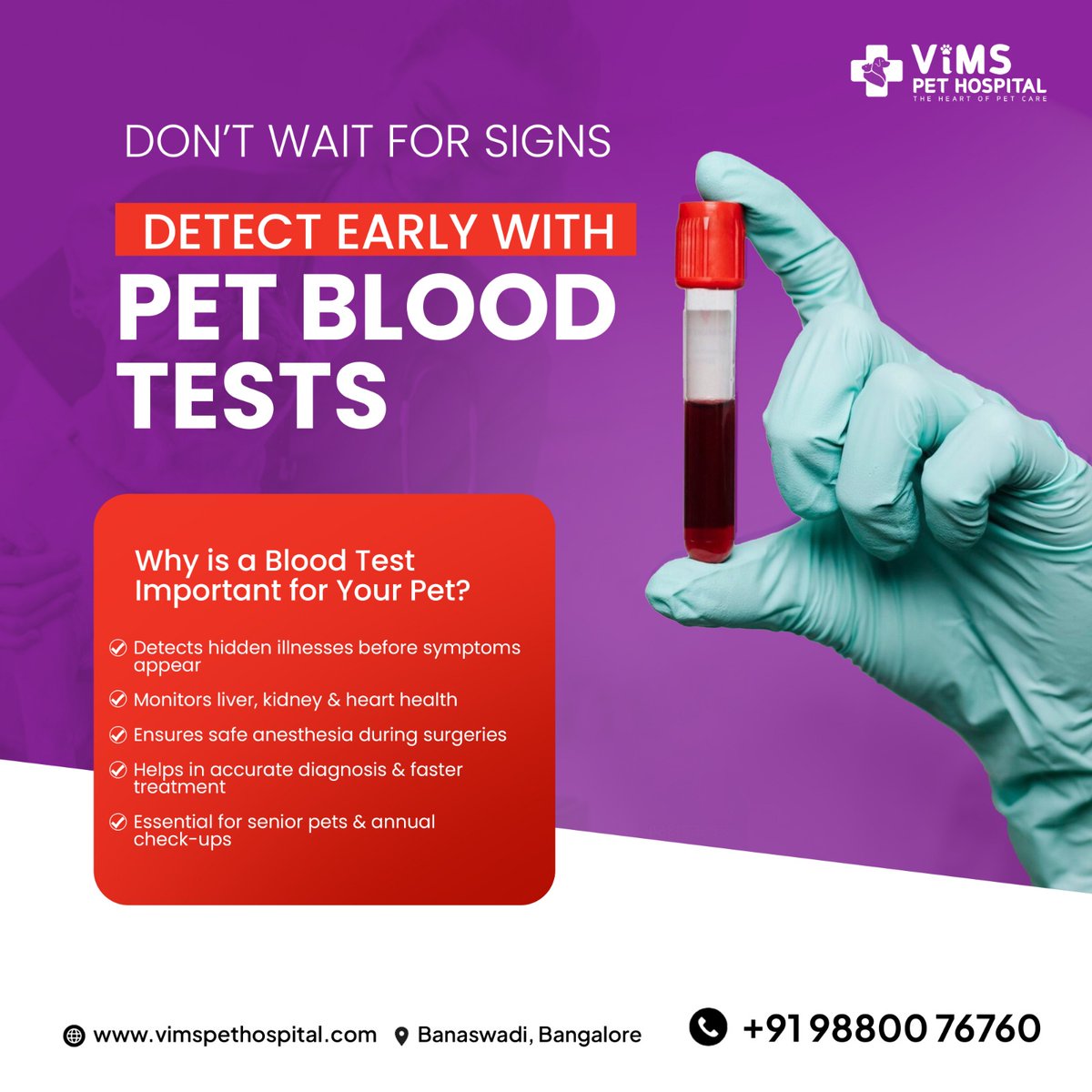 vimspethospital's tweet photo. Don’t Wait for Symptoms to Show 🐾🩸
Early detection can save your pet’s life!
📍Banaswadi, Bangalore
📞 +91 98800 76760
#VIMSPetHospital #PetCare #BloodTestForPets #HealthyPetsHappyPets #EarlyDetection #BangaloreVets https://t.co/n9iIU959XU