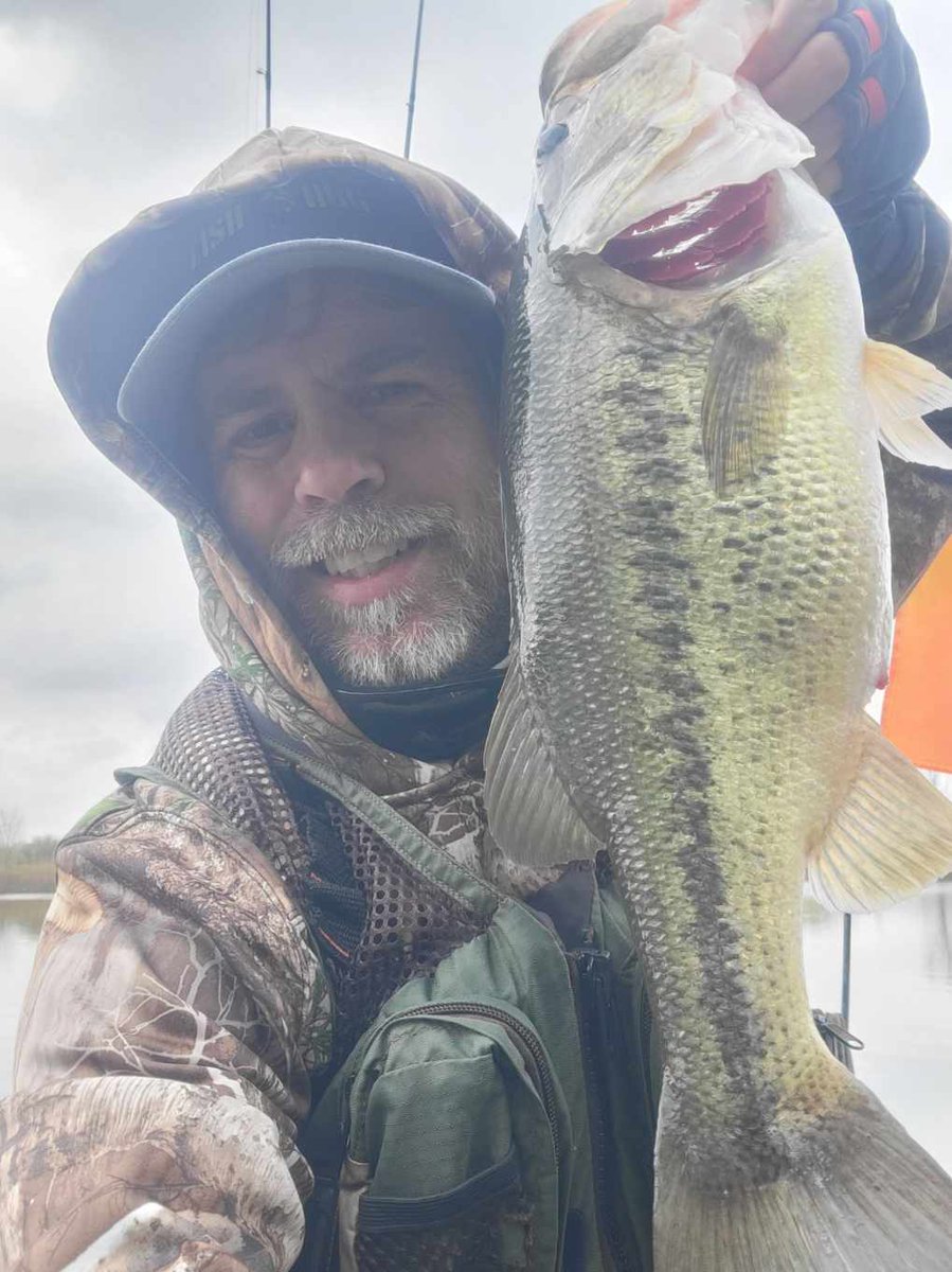 Fish Hog tweet media
