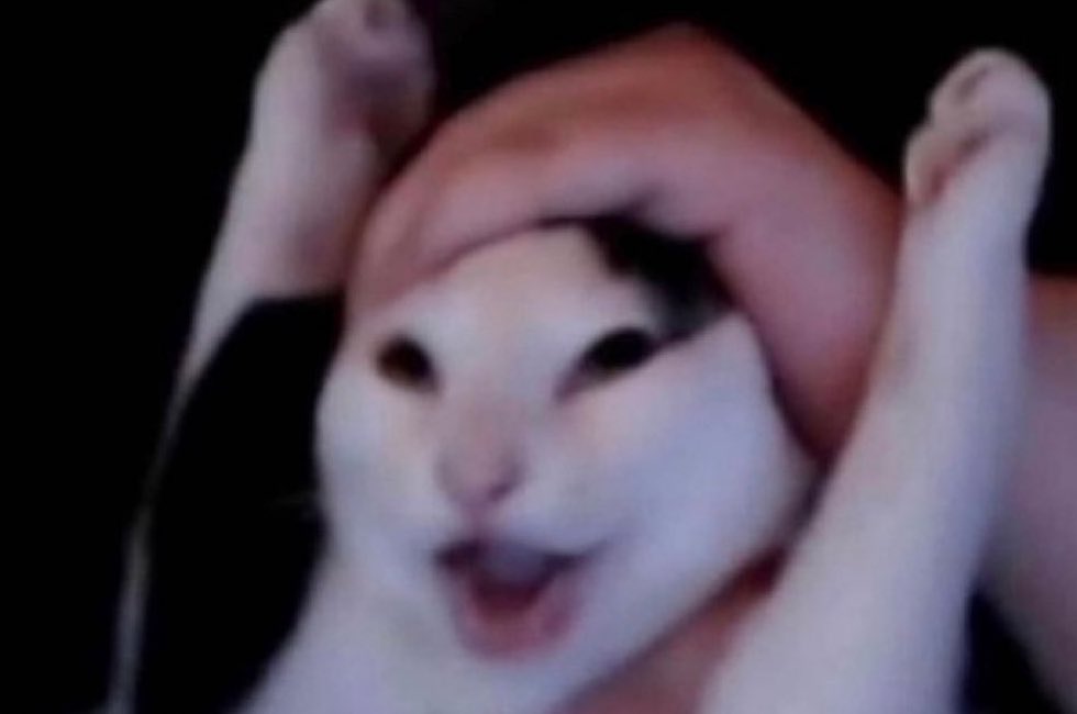 Evolution tweet media