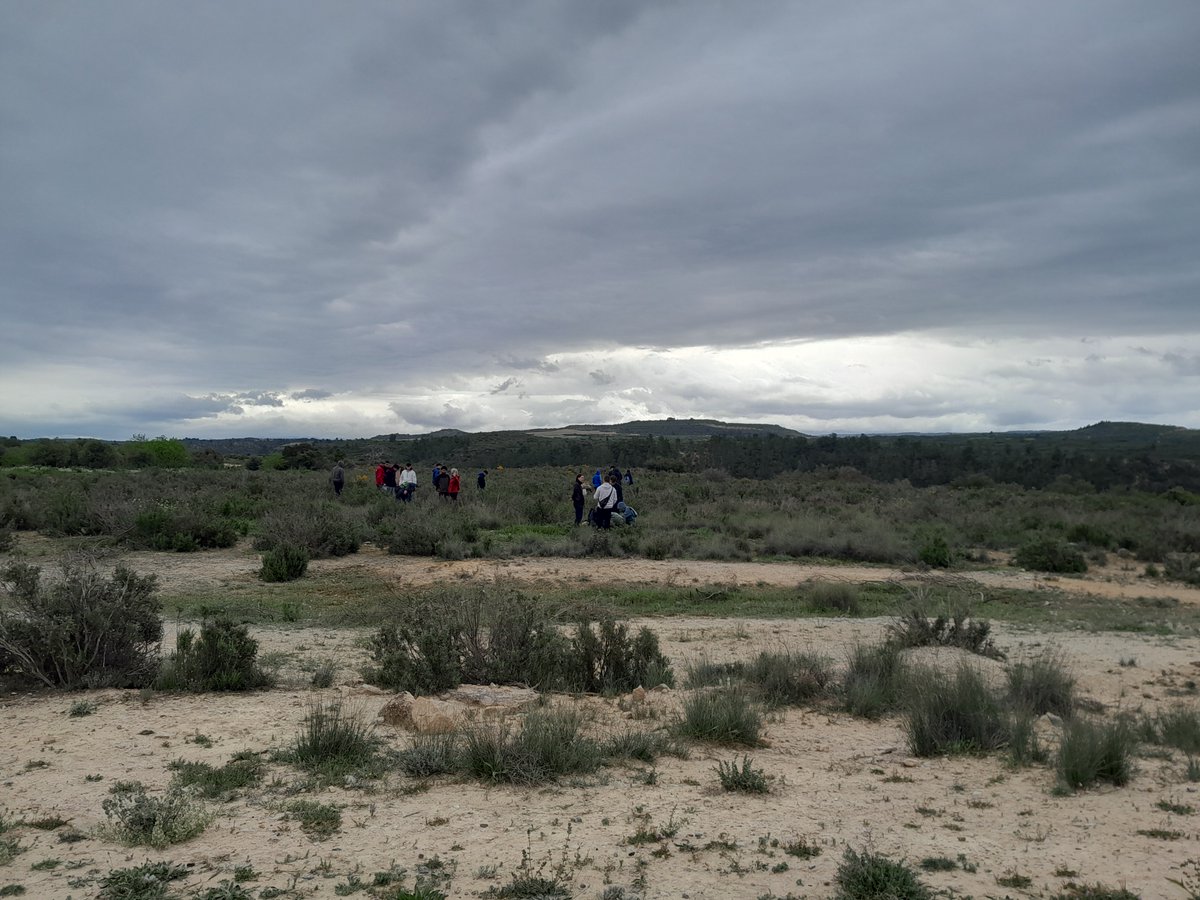 transicioeco's tweet image. 📍 Mas de Melons i Secans de Lleida fa un pas endavant en la conservació del patrimoni natural @parcscat
 
🔹 Nou itinerari botànic educatiu amb més de 300 espècies autòctones
🔹 Construcció d’un mirador panoràmic amb panells informatius

#TransicióEcològica #Biodiversitat