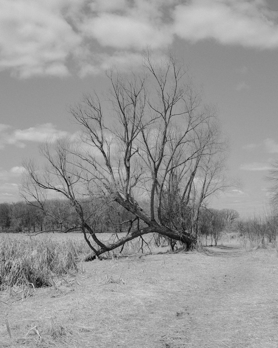 Tyler James tweet media