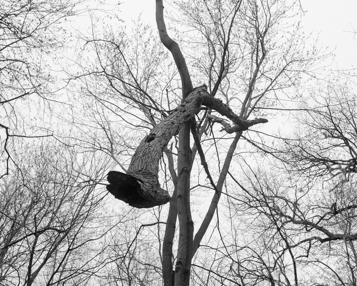 Tyler James tweet media