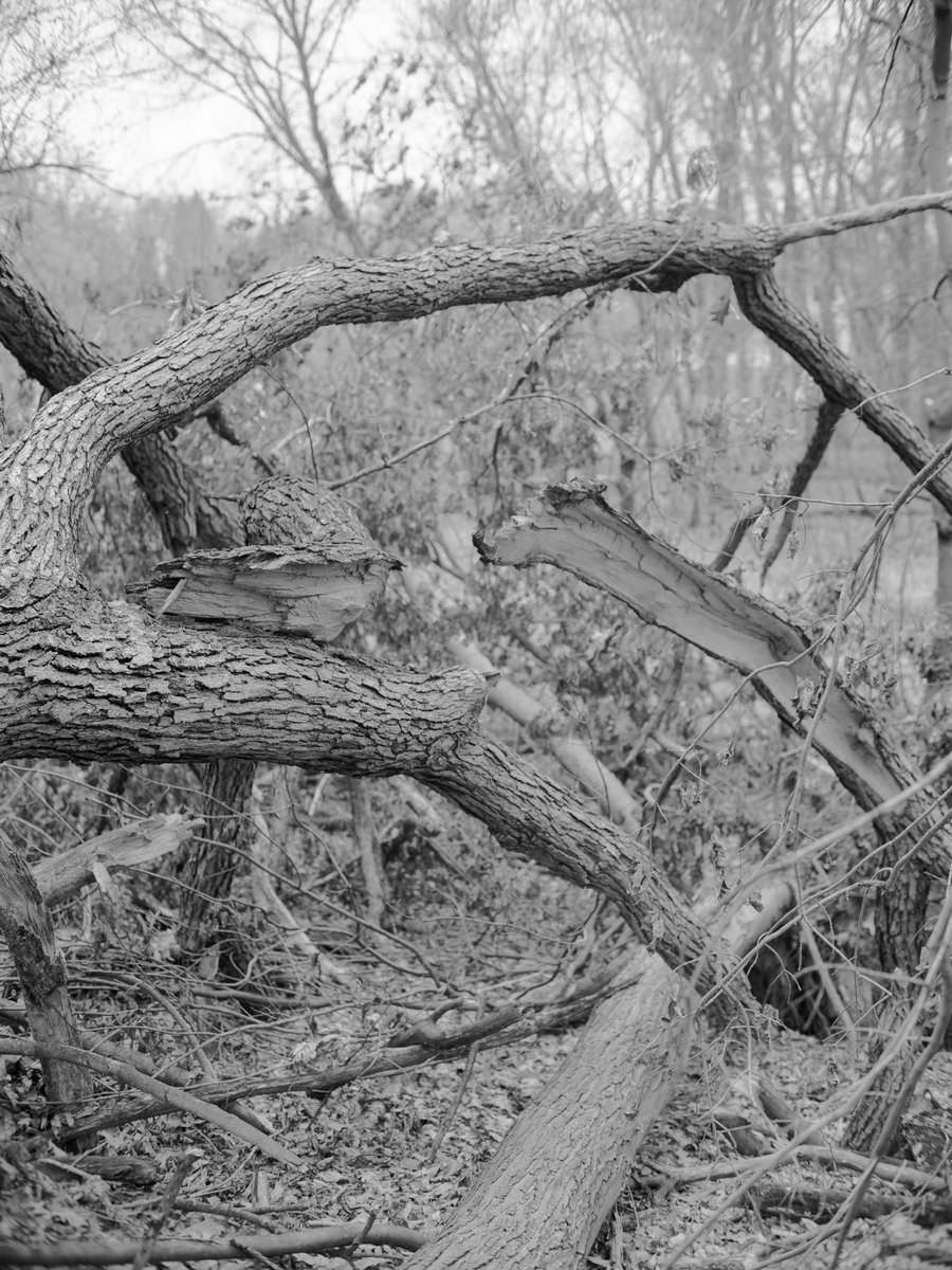 Tyler James tweet media