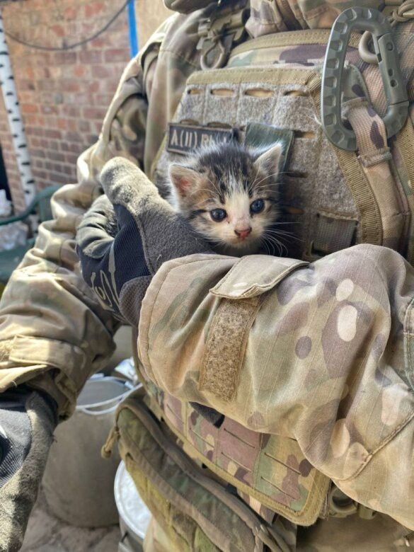 xmilitarist's tweet photo. https://t.co/2XwWaUzlee