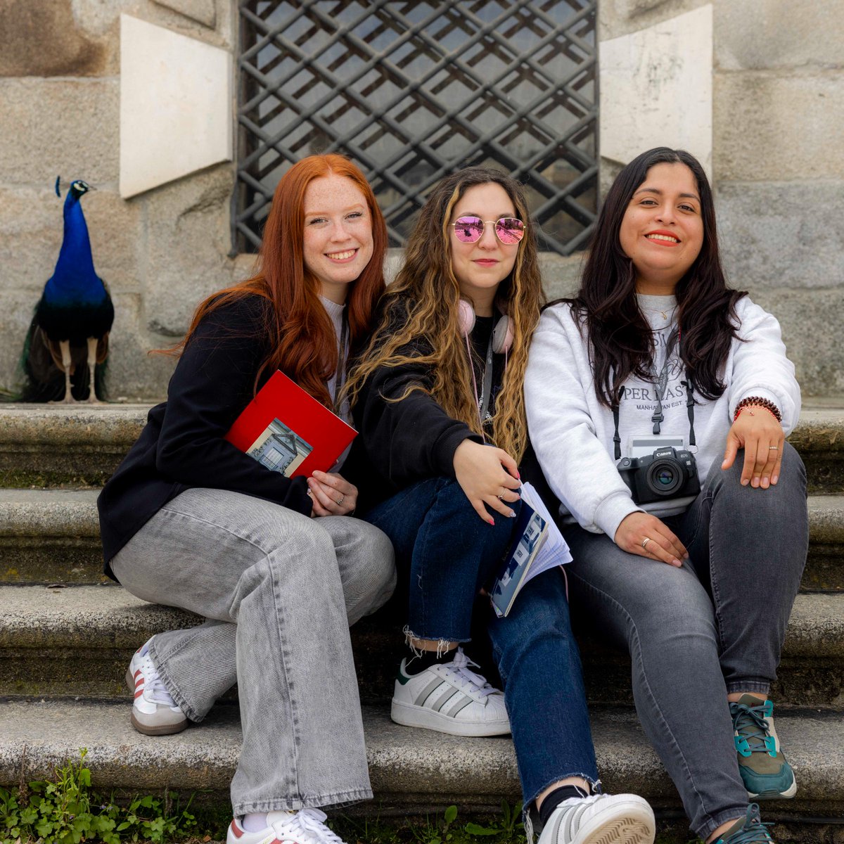 Patrimonio Nacional (@patrimnacional) on Twitter photo ¿Eres postgraduado? ¡Esta es tu oportunidad!👇
📢<a href="/PatrimNacional/">Patrimonio Nacional</a> convoca 8 #becas remuneradas de12 meses de duración para formar parte de una experiencia única en nuestros #RealesSitios y #LaGalería.
🗓️Plazo abierto hasta el 30 de abril
Toda la info▶️bit.ly/Convocatoria20… ¿Eres postgraduado? ¡Esta es tu oportunidad!👇
📢<a href="/PatrimNacional/">Patrimonio Nacional</a> convoca 8 #becas remuneradas de12 meses de duración para formar parte de una experiencia única en nuestros #RealesSitios y #LaGalería.
🗓️Plazo abierto hasta el 30 de abril
Toda la info▶️bit.ly/Convocatoria20…
