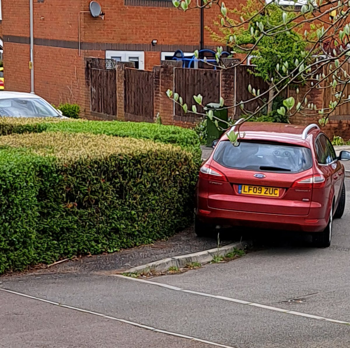 Jamie Dunn tweet media