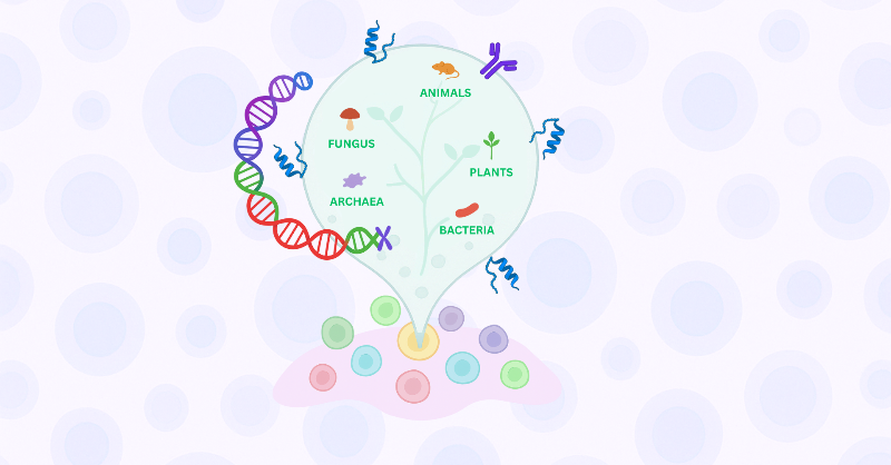 genbioai's tweet photo. Read about new model releases, benchmarks, and use cases across structure prediction, transcriptomics, and cell modeling.
