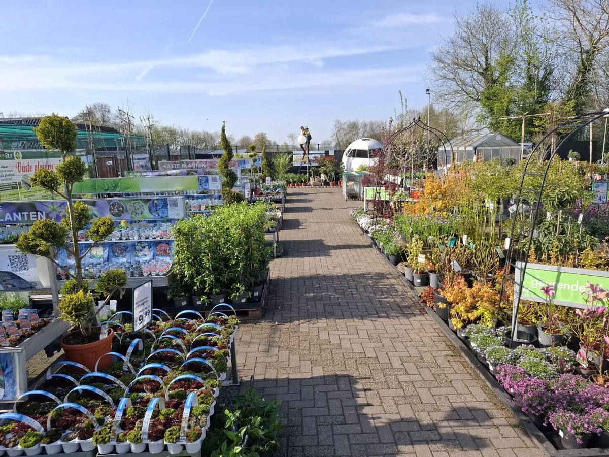 GroenRijkSegers's tweet photo. 2e Paasdag. Vandaag geopend tot 17.00 uur.
VOLOP groen, overdekt winkelen, veel scherpe acties!
Het GroenRijk team staat voor je klaar, tot zo!
https://t.co/ALdOtDPz4I https://t.co/3oi71iv1Qn
