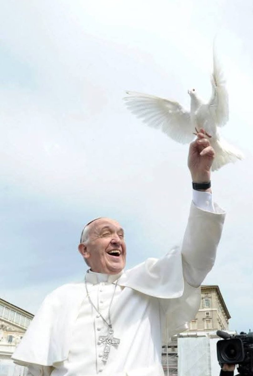 AMRC rep amb molta tristesa la mort del nostre Papa Francesc. Descansi en Pau. ACS