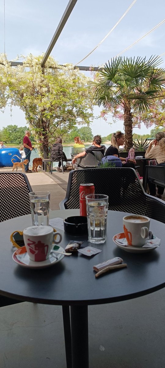 Kava, kit, psi, palma, glicinije 🤗. 
Za ovo zadnje nisam ziher 🤭. 

Ti, koji si otišao, da Tvoj nasljednik nastavi Tvoj put 💕.