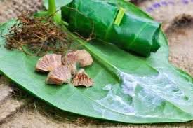 Maha_Periyavaa's tweet photo. #மீண்டும் வெற்றிலை பாக்கு போடும் பழக்கத்தை ஆரம்பியுங்கள் .

அனைவருக்கும் சொல்லுங்கள்....

 மலட்டுத்தன்மை அறவே இல்லை. கேன்சர் இல்லை, 
சர்க்கரை வியாதி இல்லை, 
இதய நோய்கள் இல்லை ..... 

#வெற்றிலை_பாக்கு போடுவதை கெட்ட பழக்கமாகவும்  சாராயம் குடிப்பதை சாதாரண பழக்கமாகவும் மா(ற்)றிய  ஒரு விஷயம் இது.

தமிழ்க் கலாச்சாரத்தில் மிக முக்கிய பங்கு வகிப்பது "தாம்பூலம்" எனப்படும் வெற்றிலை, பாக்கு

 தமிழனின் பிறப்பு முதல் இறப்பு வரை உள்ள அனைத்து சடங்கு சம்பிரதாயங்களிலும் தவறாமல் இடம் பெரும் ஒரு பொருள் வெற்றிலை பாக்கு, வெறும் வெற்றிலை பாக்கு மட்டுமே மாற்றி ஒரு திருமணத்தையே நிச்சயம் செய்து விடுவான் தமிழன்.

வெற்றிலை பாக்கு போட்டு வளர்ந்த தாத்தா பாட்டி காலத்தில் .... 
கேன்சர் இல்லை, சர்க்கரை வியாதி இல்லை, இதய நோய்கள் இல்லை ..... 
முக்கியமாக மலட்டுத்தன்மை அறவே இல்லை. 
ஆக வெற்றிலை, பாக்கு என்பது பல நோய்களைத் தீர்க்கும் ஒரு அருமருந்து என்பது தமிழினத்துக்கு தெரிந்திருந்ததால் தான், அதற்கு இவ்வளவு முக்கியத்துவம் கொடுத்தி ருக்கிறான் தமிழன்.

கலாச்சாரச் சீரழிவும், அன்னிய மோகமும் சேர்ந்து தாம்பூலத்தைக் கெட்ட பழக்கமாக சித்தரித்து நம் இனத்தை நோயாளிகளாய் அலைய விட்டிருக்கிறது. 
வெற்றிலையின் மகத்துவத்தை தமிழனை மறக்கடிக்கச் செய்து தம்பதிகளை fertility Centre ( கருத்தரிப்பு மையம்)-களை நோக்கி படையெடுக்க வைத்திருக்கிறது.
வாயில் கேன்சர் வந்திடும், பல்லு கரை போகவே போகாது, தவிர "டேய்.. இன்னும் பழைய ஆள் மாதிரி வெத்தலையை போட்டு கிட்டு", எனச் சொல்லிச் சொல்லியே வெற்றிலை பாக்கு போடும் பழக்கம் நம்மிடம் இருந்து கொஞ்சம் கொஞ்சமாக மறைக்கப்பட்டு விட்டது.

வெற்றிலை, பாக்கு, சுண்ணாம்பு அதிலும் கல் சுண்ணாம்பு, முத்துச்சிப்பி சுண்ணாம்பு என வித்தியாசம் காட்டி  அதில்  ஏலக்காய், கிராம்பு, சாதிக்காய், என வாசனைப் பொருட்கள் கலந்து வாயில் இட்டு சுவைத்து, முதலில் ஊறும் நீரும், இரண்டாவது ஊறும் நீரையும் துப்பிவிட வேண்டும் என்றும், மூன்றவதாய் ஊறும் நீரே அமிர்தம் என தாம்பூலம் இட்ட வழி முறைகள் சொன்ன சித்த மருத்துவம் இருந்த ஊரில், "ஆங்.. தாம்பூலமா அப்படின்னா?", எனக் கேட்கும் அடுத்த தலைமுறை வந்து விட்டது, 

பெருகி வரும் ஆண் மலட்டுத் தன்மை குறிப்பாக விந்தணு உற்பத்தி மற்றும் அதன் Motility குறைதல் இவற்றுக்கு தாம்பூலம் மிக சிறந்த மருந்து.

வெற்றிலையில் உள்ள Hydroxy Chavicol எனும் Phenol Compound ஆனது ஆண்களின் Prostate-ஐ வலுப்படுத்துகிறது, மேலும் Prostate புற்று வராமல் தடுக்கும் ஆற்றல் கொண்டது, 
விதைப்பையில் உற்பத்தியாகும் விந்தணுவிற்கு  Prostate-ல் இருந்து சுரக்கும் நீரில் உள்ள Zinc மூலம் தான் உயிரே கிடைக்கிறது, அதாவது Motility உண்டாகிறது, IVF நிகழ்வில் விந்தின் Capacitation நிகழ்வும் முக்கியம், அந்த Capacitation நடக்க Prostate சுரப்பு ரொம்ப முக்கியம் , இதையெல்லாம் தெரிந்ததால் தானோ என்னவோ காதல் மனைவி ஊட்டி விடும் தாம்பூலத்தைச் சிலாகித்துப் பேசியிருக்கிறார்கள் போல..!

மலச்சிக்கலா, தாம்பூலத்துடன் கொஞ்சம் அதிகம் பாக்கைச் சேர்.
வாய் நாற்றமா, லவங்கத்தைச் சேர், வீரியம் வேண்டுமா, சாதிக்காய் சேர் எனச் சொன்ன தமிழ்ச் சமூகம் இன்று Infertility center-களில் முடங்கி கிடக்கிறது.

அடுத்த தலைமுறைக்கு இனியாவது தாம்பூலத்தின் மகத்துவத்தை எடுத்துரைப்போமே..