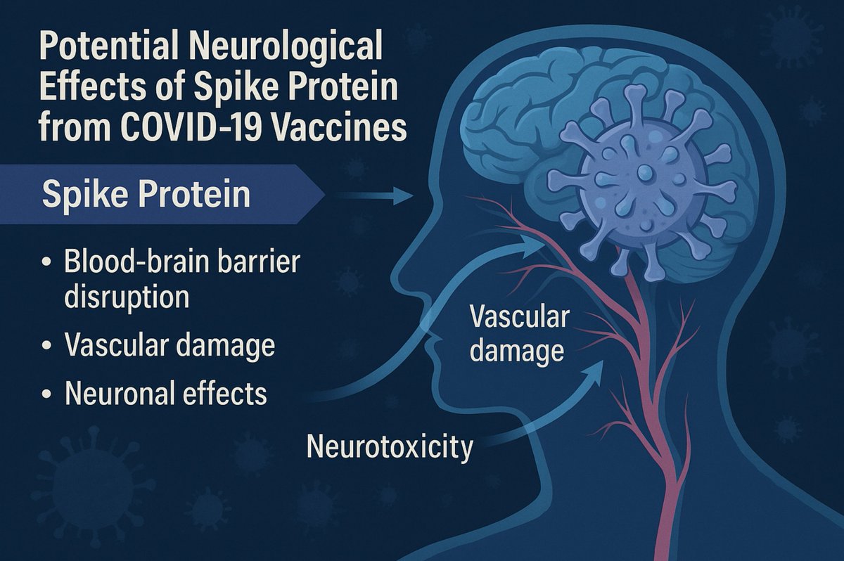 Risiken durch das Spikeprotein der COVID-19-Impfstoffe: Eine neue Herausforderung für die Medizin

Ein Aufsatz vom 18.04.2025 fasst einige bekannte Problemkreise des Toxins "SpikeProtein S Wuhan1", also dem SpikeProtein des SarsCoV2 und dem angegeben med. Wirkstoff aller sog.