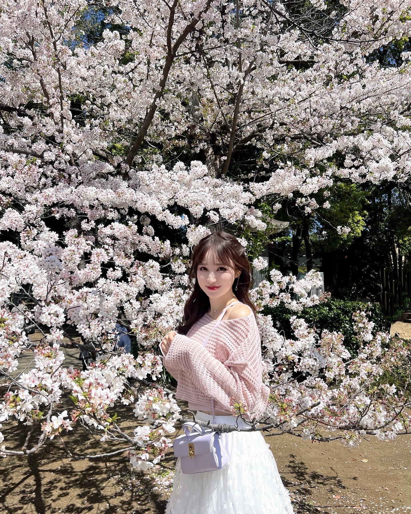 SHEIN JAPAN on X: 