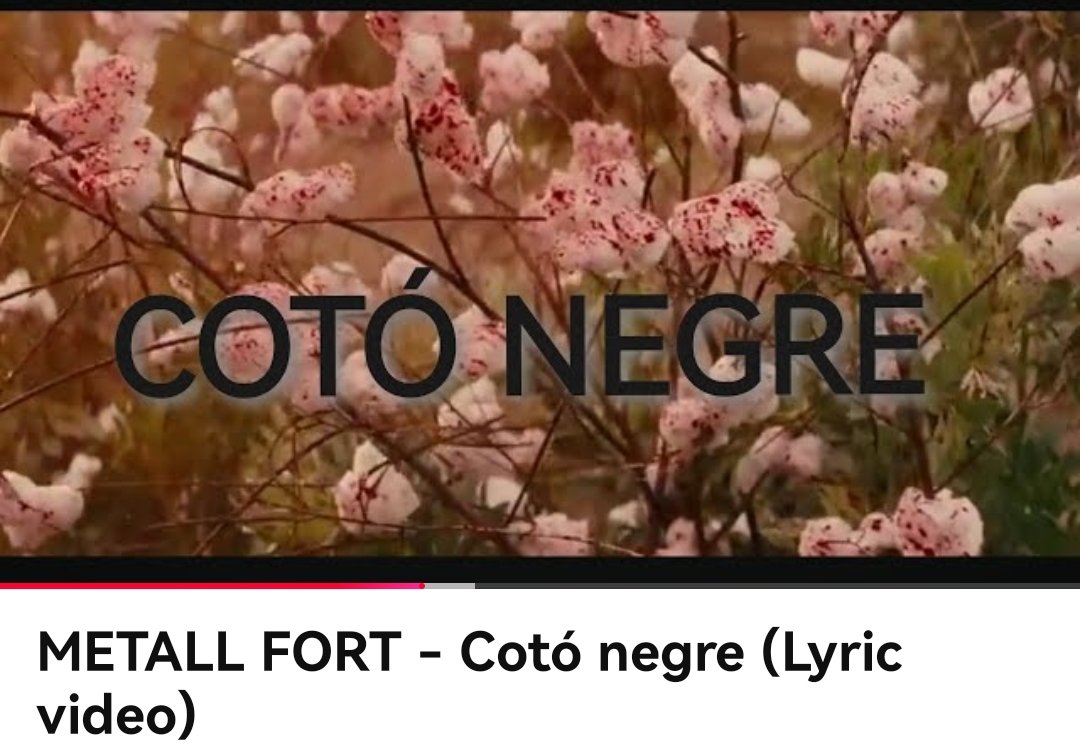 Metalls!!!
Ja tenim aquí altre vídeo lyric extret de l'ultim EP, amb imatges de  concerts del Fantàstic Tour de l'any passat, la cançó s'anomena Cotó negre i tracta de la esclavitud i el naixement de les works songs, que van evolucionar al blues, rock..

youtu.be/9qFod65J3dQ?si…