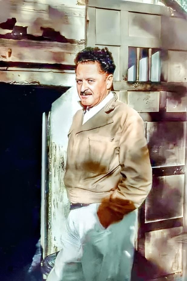 “Bitten, açlıktan, sıtmadan betersiniz.
           Yüz Türkiye olsa, elinizden de gelse
yüzünü de zincire vurur, yüz kere satarsınız.
Milletimin en talihsiz gecesi
           ana rahmine düştüğünüz gecedir.”