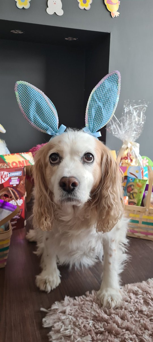 Deb Chapman tweet media