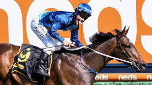 Rubicon_NZ's tweet photo. @johnkanga @M_Walker_Jockey @MelbRacingClub M WALKER Three Time CAULFIELD Group ONE winning Rider _ 2020 1000 GUINEAS , 2020 BLUE DIAMOND and 2017 CAUL GUINEAS - 25  G1 in TOTAL  plus Warrnambool Cup MONDE SPECIAL   #cuz #cuzzybro https://t.co/GnTl0Of4ZS