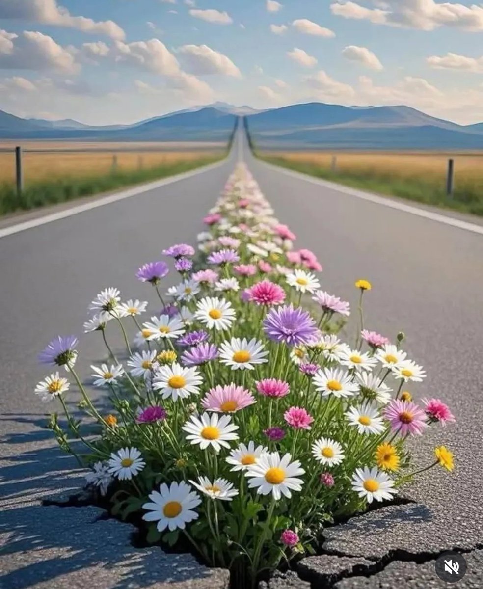 "Yola çıktığınız arkadaşınıza dikkat edin, çünkü insan yol yürüdüğüne benzer "

Yeni haftaya BİSMİLLAHİRRAHMANİRRAHİM 🌸🌺🌷