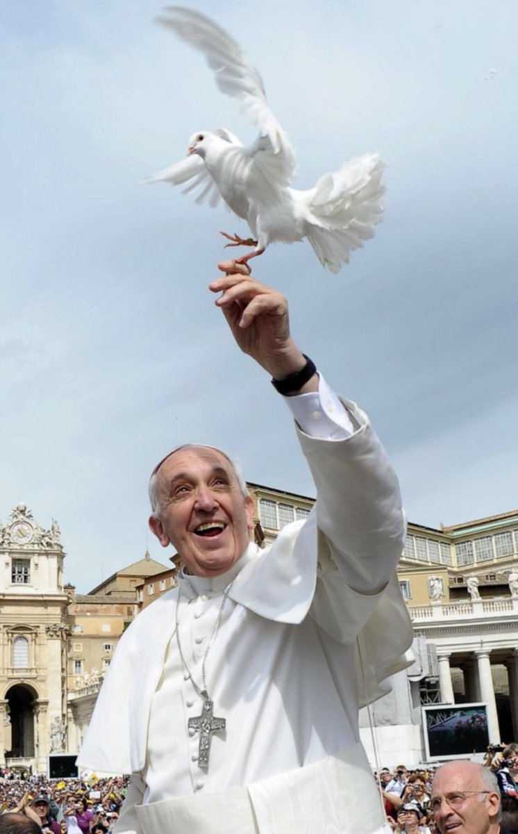 Imad (@isuccar) on Twitter photo Rest in peace Pope 🕊️ Rest in peace Pope 🕊️