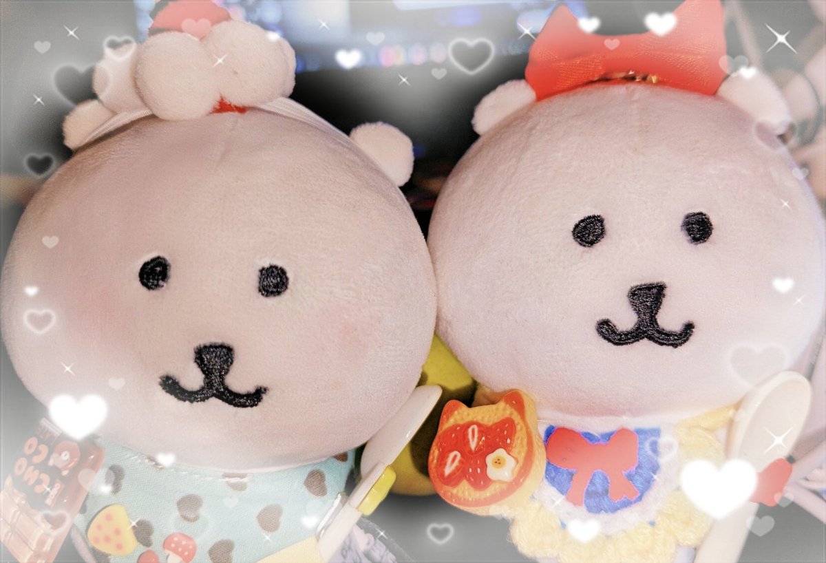 马兄帮忙买的熊（右边的）
太可爱力，谢谢马兄♡