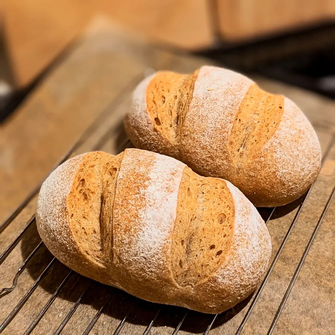 nekoashi_natsu's tweet image. いつもと違う成形してみたらダンゴムシみたいに。カットの途中ではアオムシ🐛に見えてきた。なんだか可愛いぞ😁

ダイソーのスパチュラが可愛くて気に入っていたのだが、私の酷使に耐えられなくなった様で亀裂が、本来パンを捏ねる用ではないものね、ごめん😢

#全粒粉入りパン #ライ麦パン
#easybread