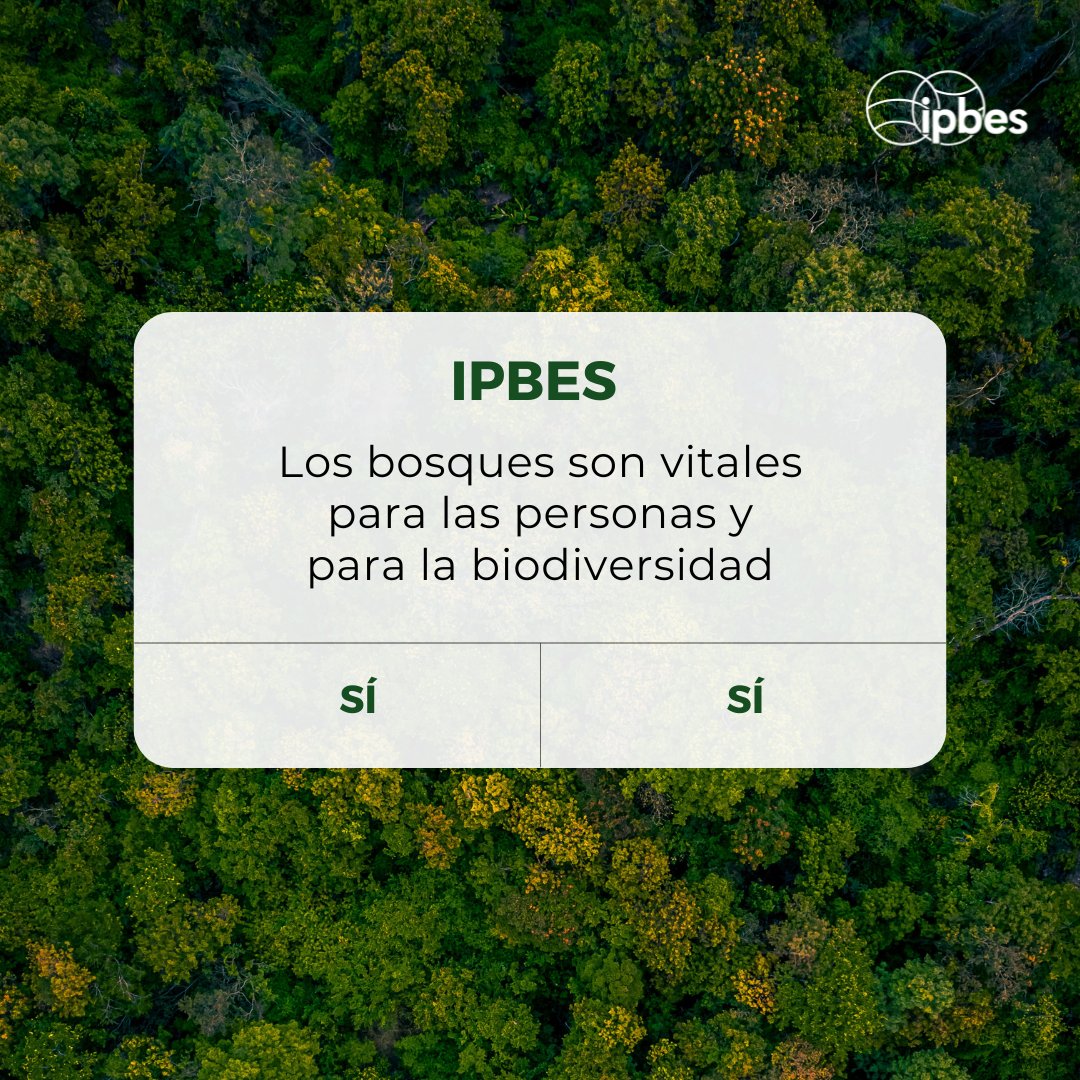 IPBES en español tweet media